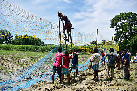 Operation to catch tiger in Nagaon